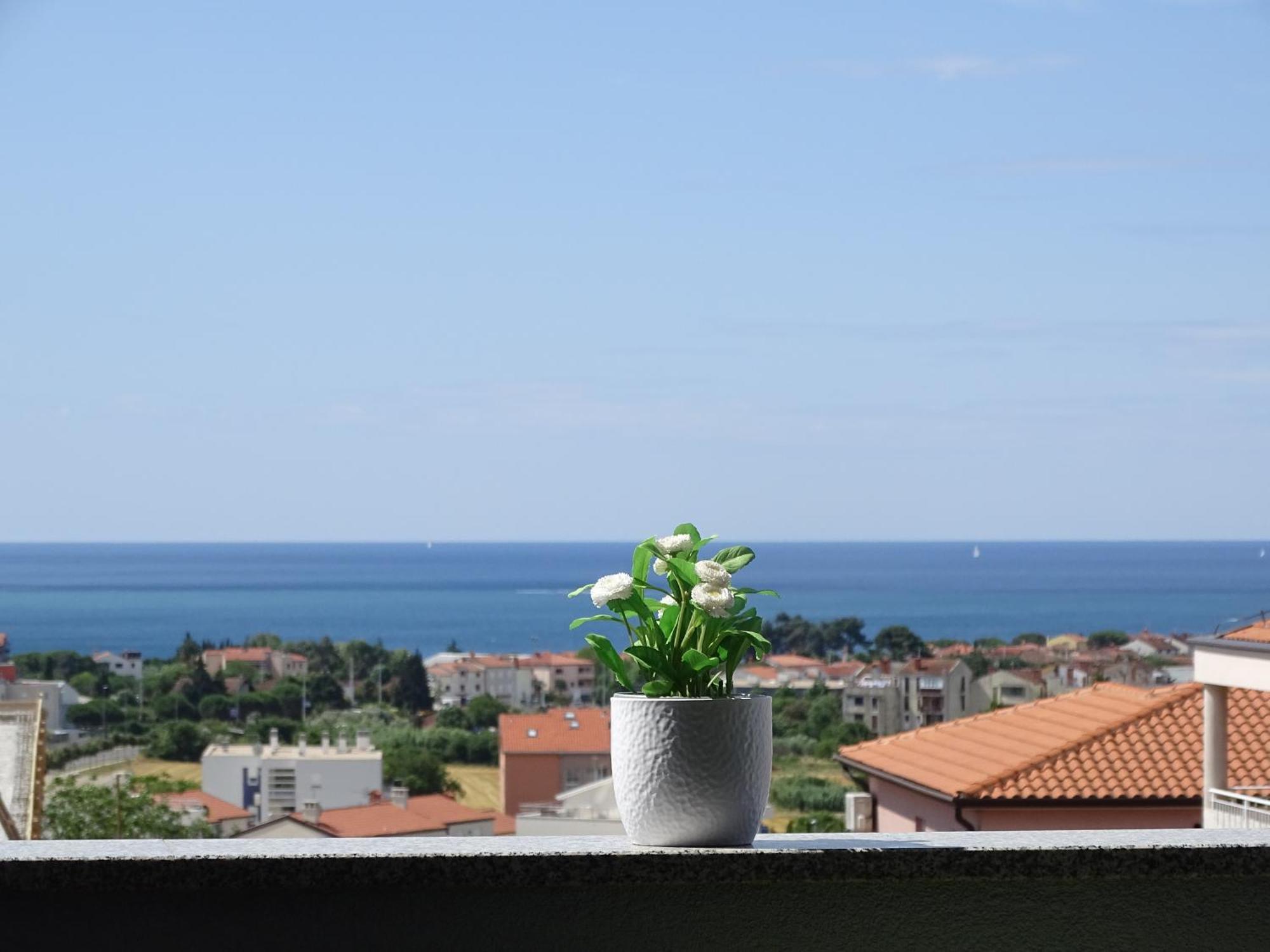Apartment Bellavista Novigrad  Exterior photo