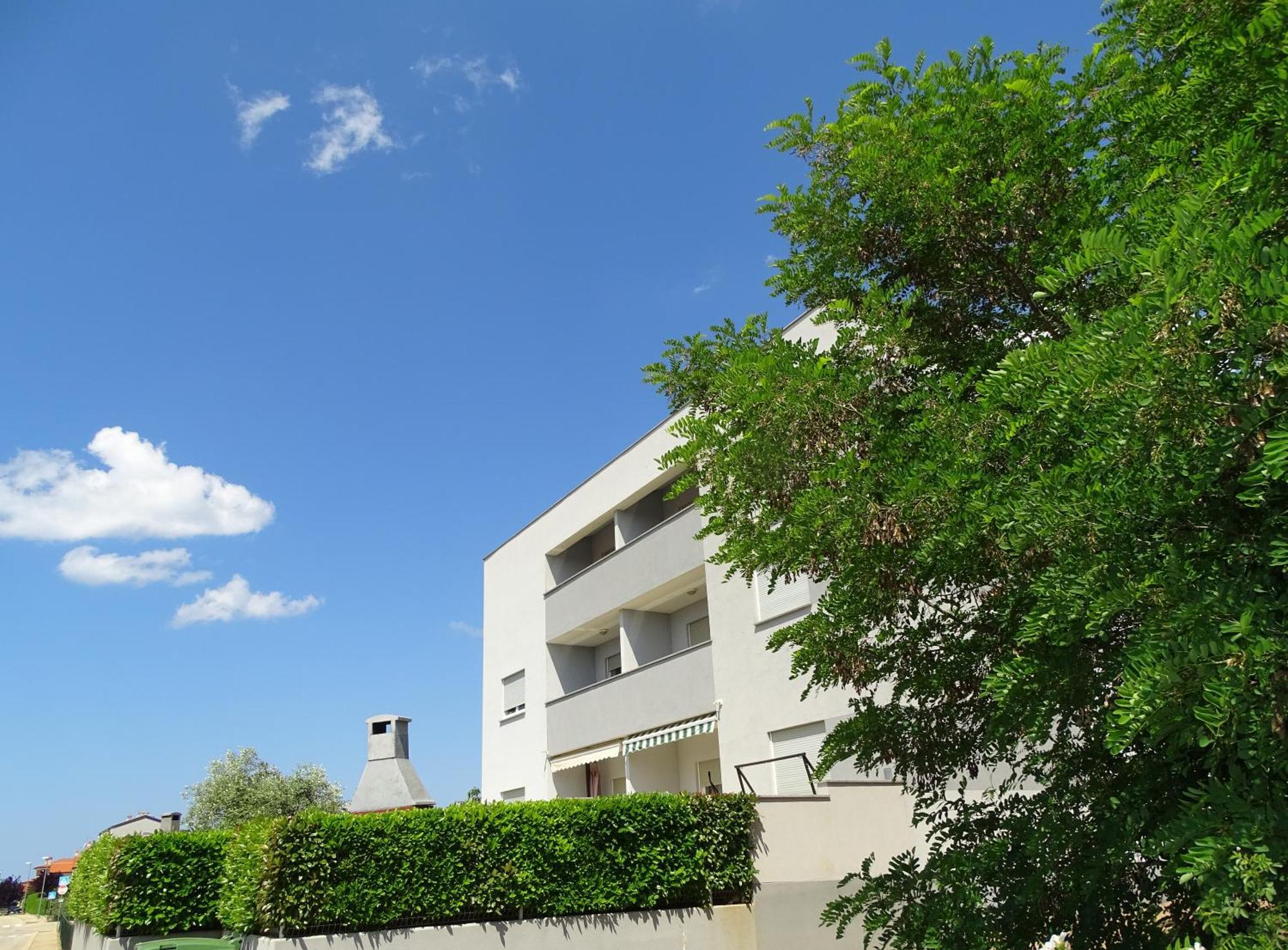 Apartment Bellavista Novigrad  Exterior photo